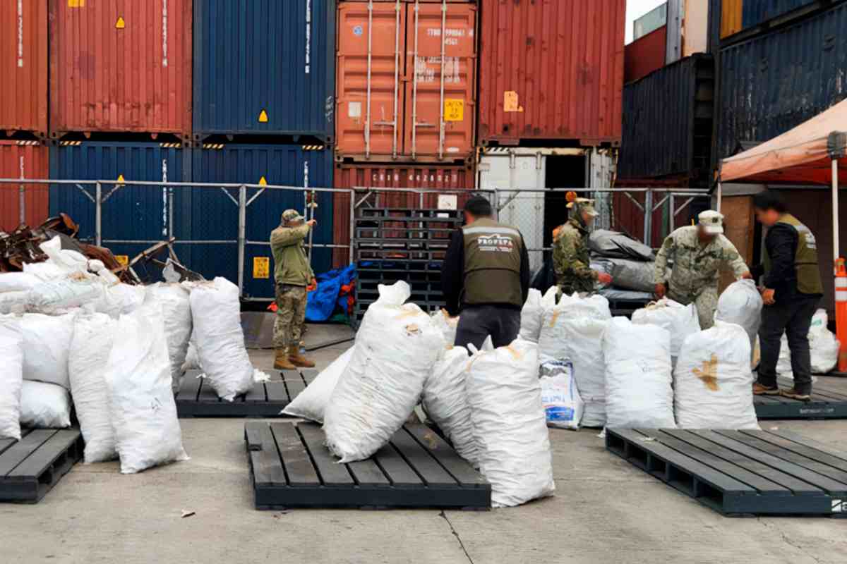 exportación aletas de tiburón