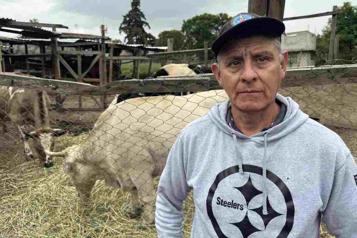 extorsión edomex crimen refugio animales pergatuzoo