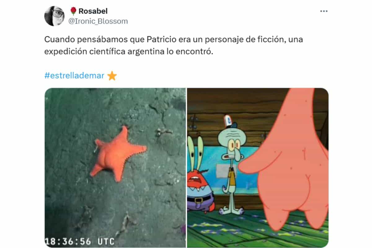 patricio estrella real