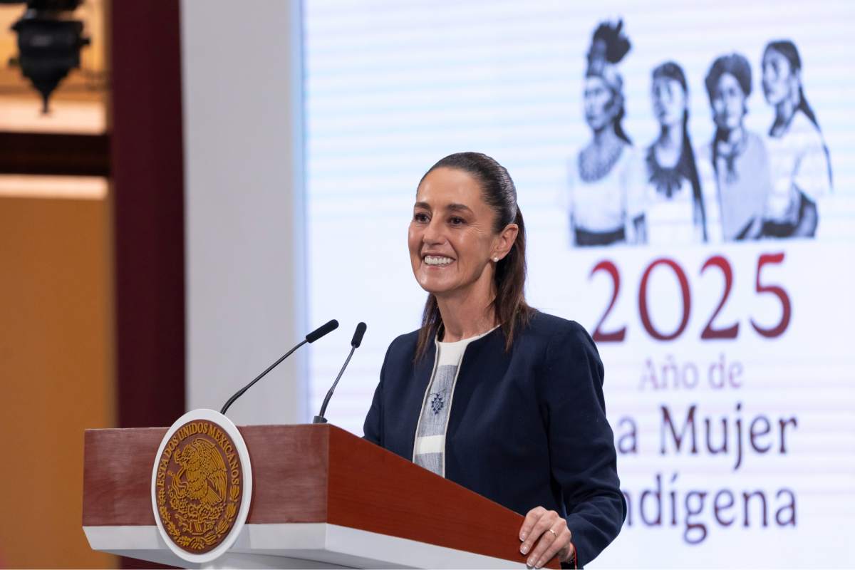 Sheinbaum denunciará por difamación al abogado de Ovidio Guzmán