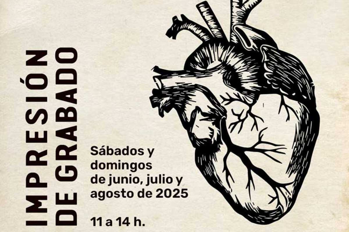 talleres y clases