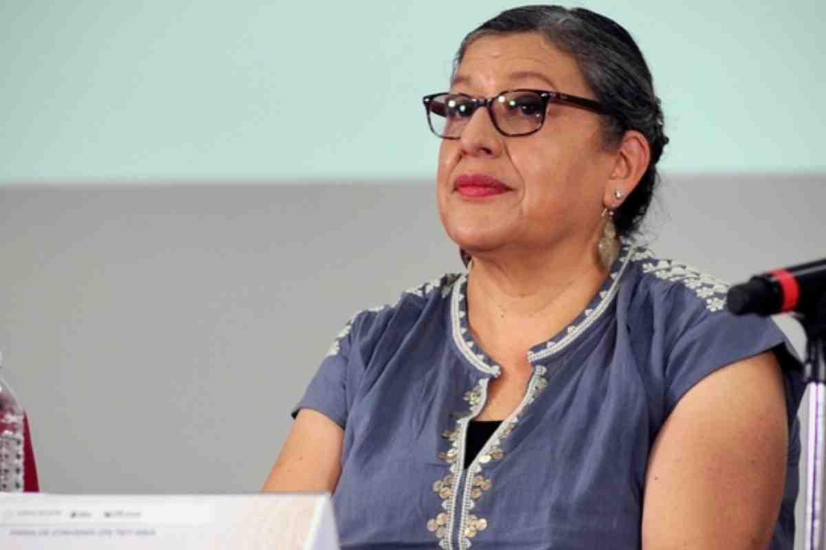 teresa reyes comisión nacional búsqueda renuncia