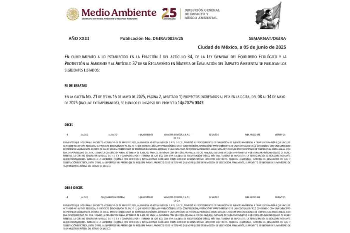 termoelectrica-jalisco-semarnat-error-consulta