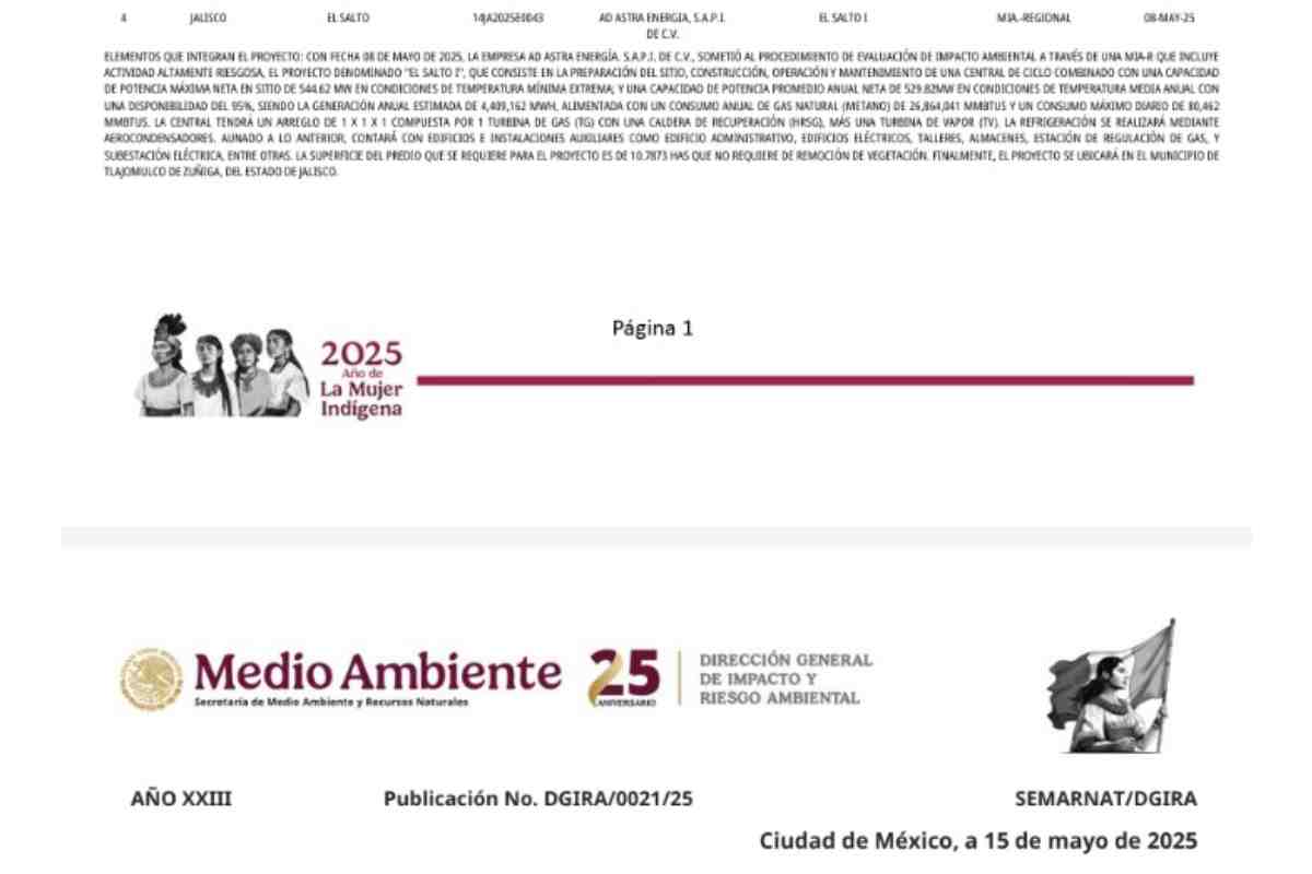 termoelectrica-jalisco-semarnat-error-consulta