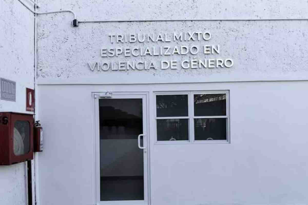 tribunales-especializados-jueces-nuevos-sin-experiencia