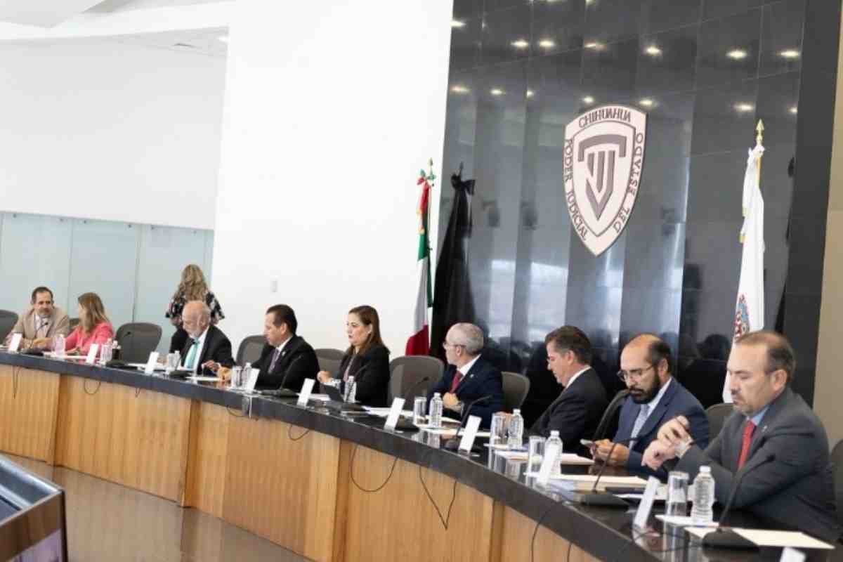 tribunales-especializados-jueces-nuevos-sin-experiencia