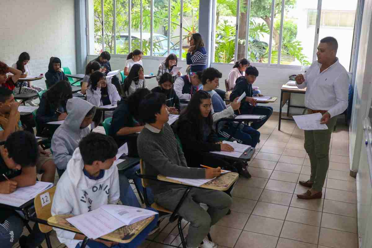 Bachillerato Ecoems opciones