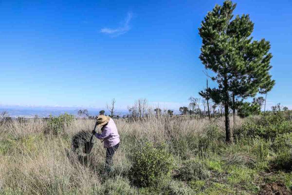 Criminalizan a defensores de montaña en San Pedro Tlalcuapan, Tlaxcala tras linchamiento