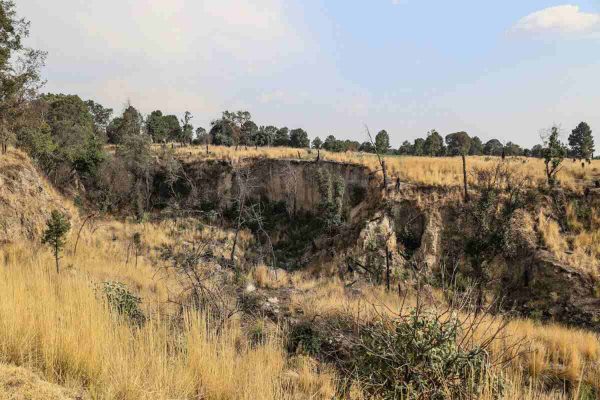 Criminalizan a defensores de montaña en San Pedro Tlalcuapan, Tlaxcala tras linchamiento 