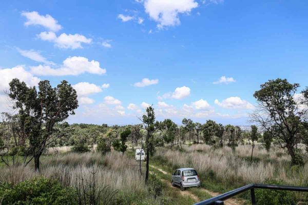 Criminalizan a defensores de montaña en San Pedro Tlalcuapan, Tlaxcala tras linchamiento 