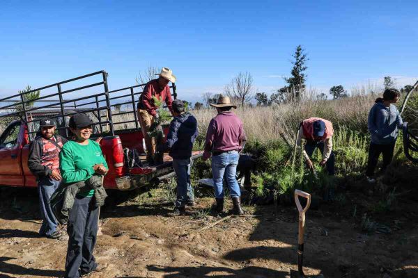Criminalizan a defensores de montaña en San Pedro Tlalcuapan, Tlaxcala tras linchamiento