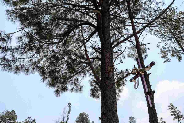 Criminalizan a defensores de montaña en San Pedro Tlalcuapan, Tlaxcala tras linchamiento
