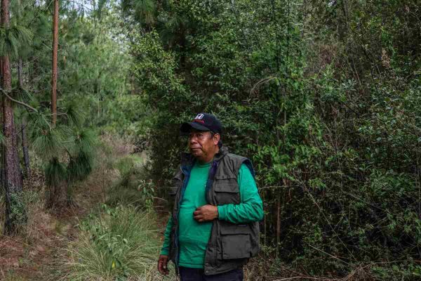 Criminalizan a defensores de montaña en San Pedro Tlalcuapan, Tlaxcala tras linchamiento