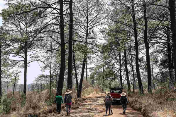 Criminalizan a defensores de montaña en San Pedro Tlalcuapan, Tlaxcala tras linchamiento