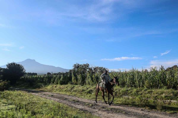 Criminalizan a defensores de montaña en San Pedro Tlalcuapan, Tlaxcala tras linchamiento