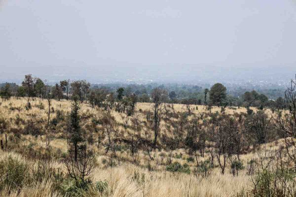 Criminalizan a defensores de montaña en San Pedro Tlalcuapan, Tlaxcala tras linchamiento