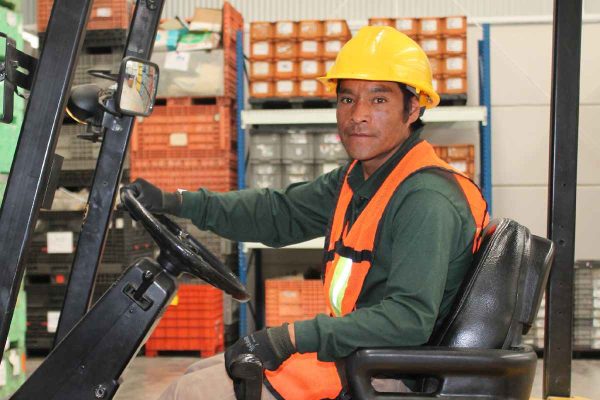 Debes tener interés en conseguir un empleo formal para recibir el apoyo al desempleo