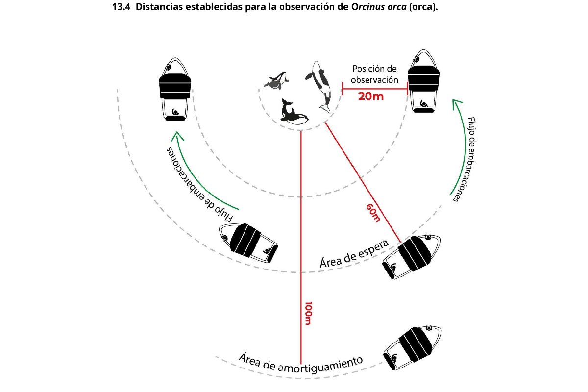 Distancia de avistamiento de orcas