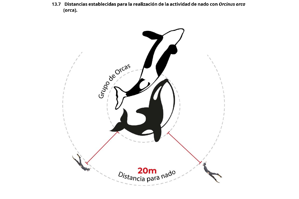Distancia establecida para el nado con orcas