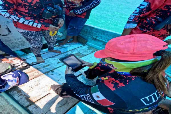 Guardianas del mar: mujeres yucatecas protegen lo que el Estado mexicano olvidó