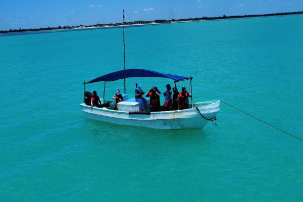 Guardianas del mar: mujeres yucatecas protegen lo que el Estado mexicano olvidó