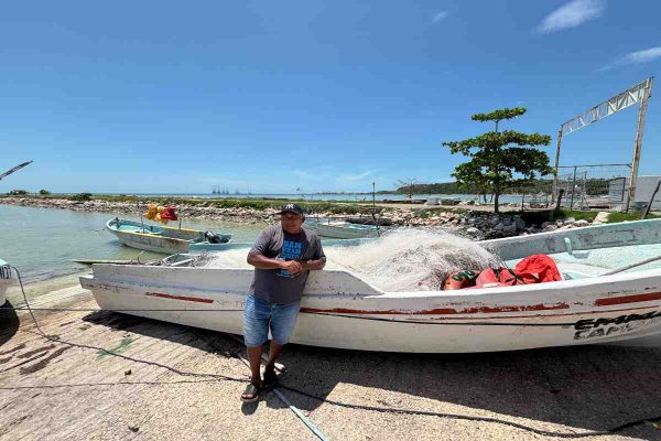 La raya ‘balá’, un sustento tras la era del tiburón en Campeche