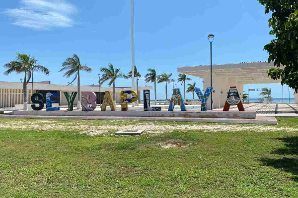 La raya ‘balá’, un sustento tras la era del tiburón en Campeche