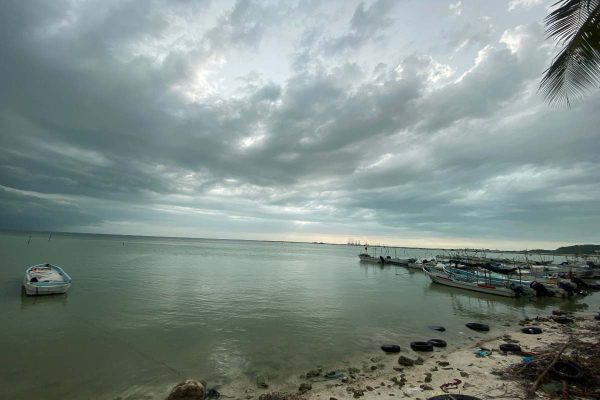 La raya ‘balá’, un sustento tras la era del tiburón en Campeche