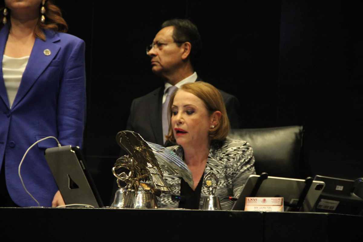 Laura Castillo Senado