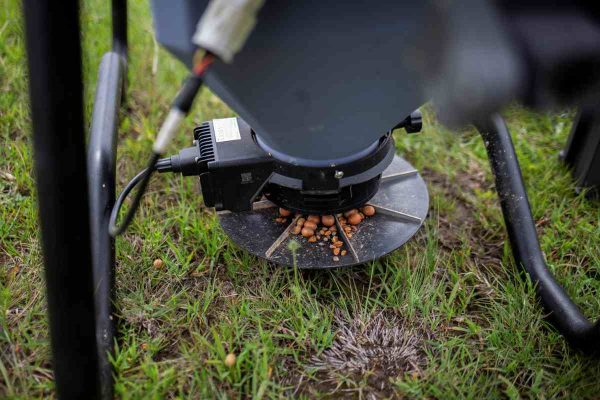 México utiliza drones para dispersar semillas y reforestar bosques afectados por incendios 
