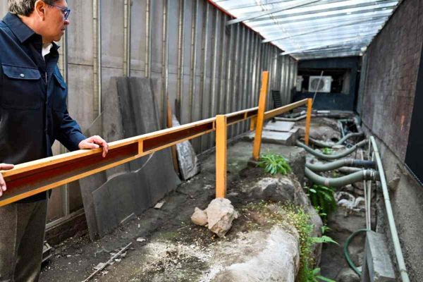 Monreal ordena revisión estructural de Cámara de Diputados tras daños por lluvias