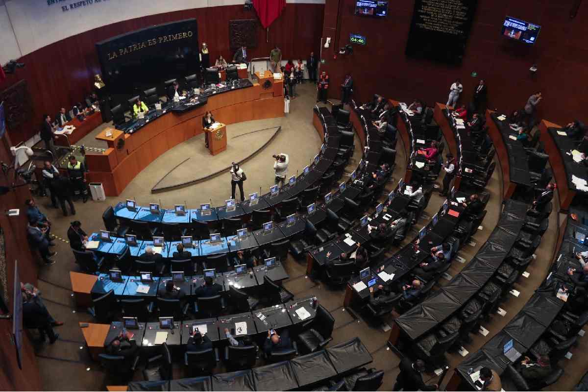 Morena dice que sucesora de Noroña en el Senado se definirá en plenaria, “en unidad y en consenso” 