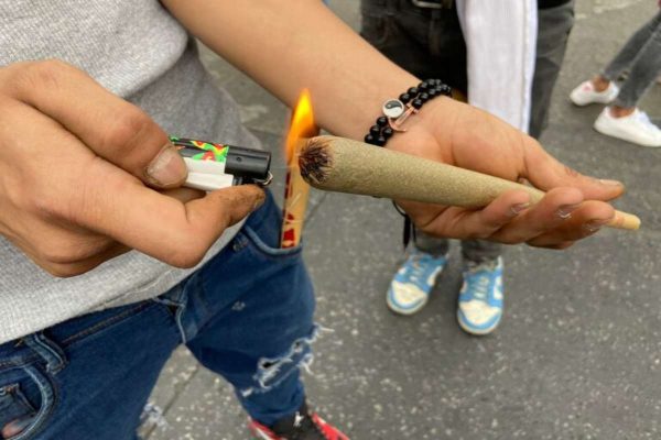 Organizaciones impulsan encuesta de consumo de cannabis para fines terapéuticos 