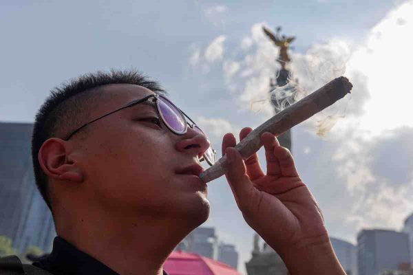 Organizaciones impulsan encuesta de consumo de cannabis para fines terapéuticos 