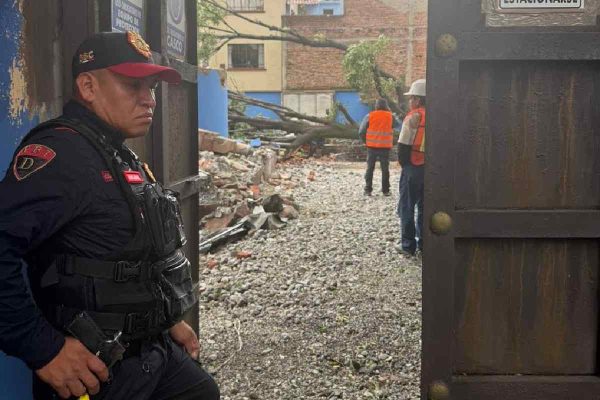 Talan a Eugenito en la Benito Juárez; vecinos denuncian inconsistencia en los permisos y Sedema dice que habrá compensación