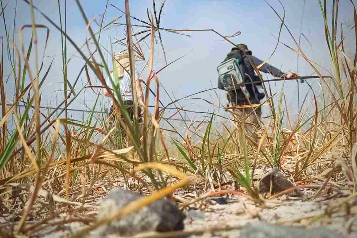 Con tecnología y drones, familias de desaparecidos encuentran fosas clandestinas en Jalisco