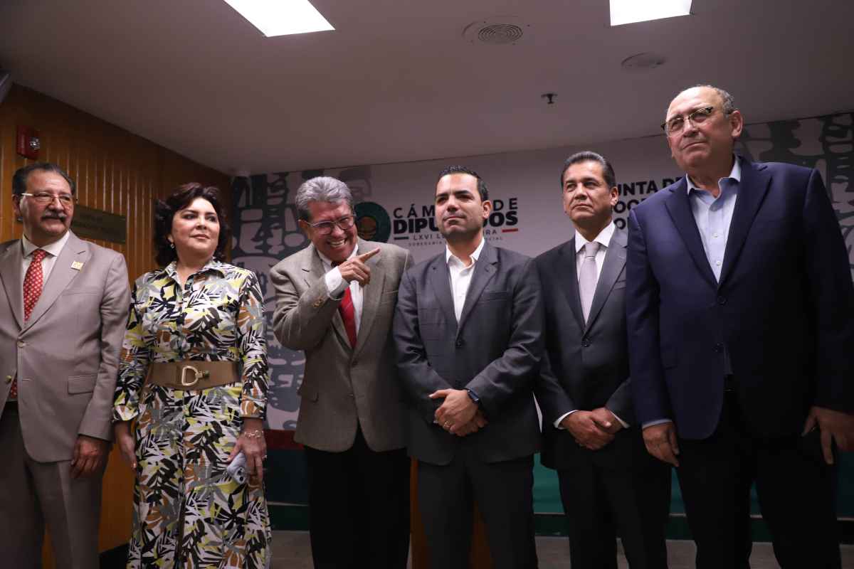 Coordinadores parlamentarios.