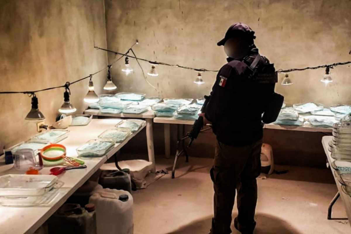 estados unidos narcos mexicanos