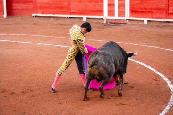 feria-uva-2025-arranque-encierro-karen-souza-aguascalientes