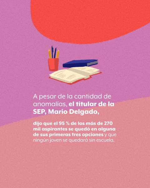 irregularidades ECOEMS SEP