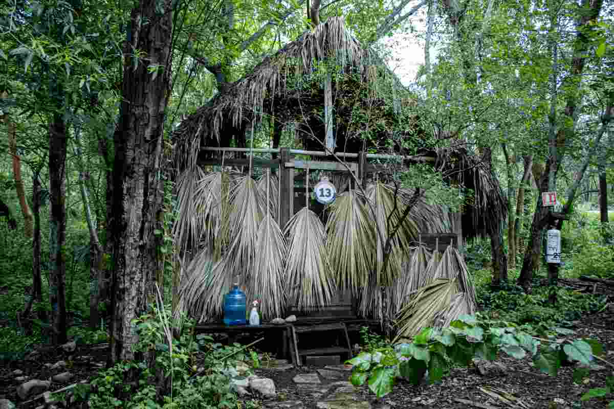 Los linces vendidos como gatos domésticos que son rehabilitados en un centro de rescate en México
