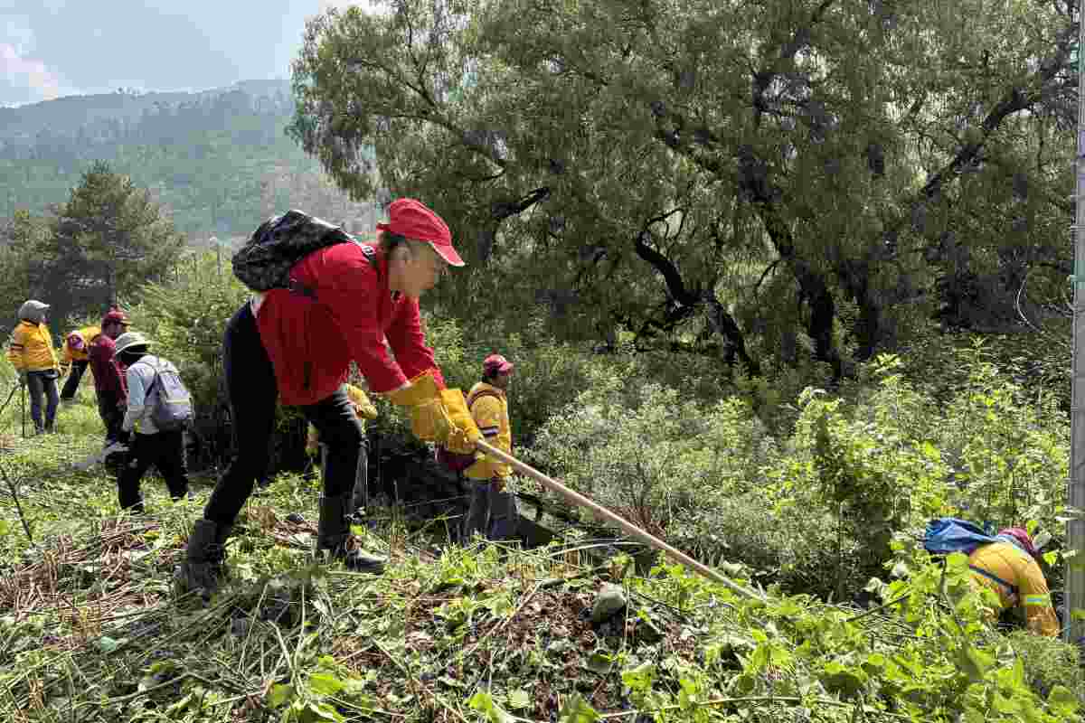 Suman 7 hallazgos de fragmentos óseos humanos en la Sierra de Guadalupe