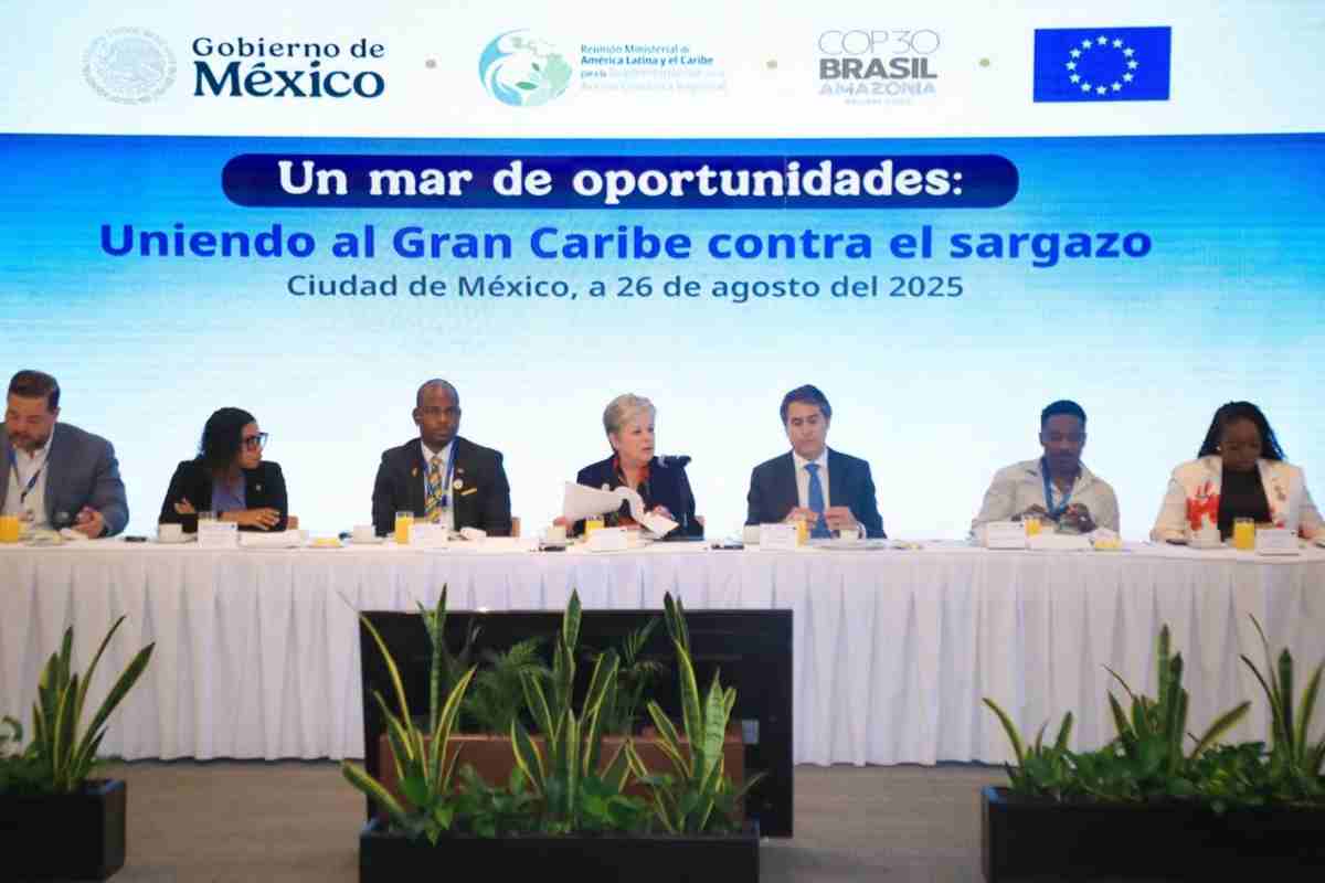 plan caribe sargazo