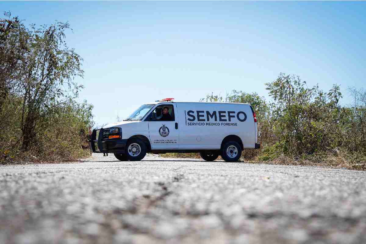 Suman 338 policías asesinados en 11 meses del gobierno de Sheinbaum; estos son los estados con más casos