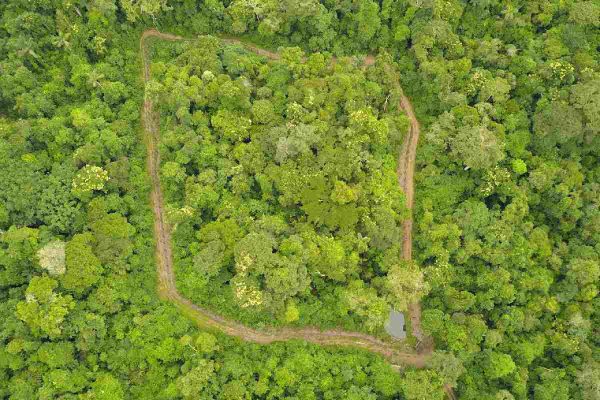 Recinto de Onçafari, de 15 mil metros cuadrados, donde tuvo lugar gran parte de la rehabilitación de Xamã. Foto: Cortesía Onçafari