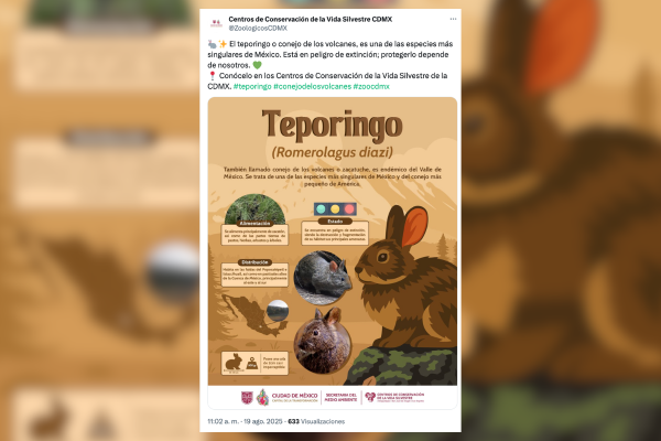 Fuente: Centros de Conservación de la Vida Silvestre CDMX.