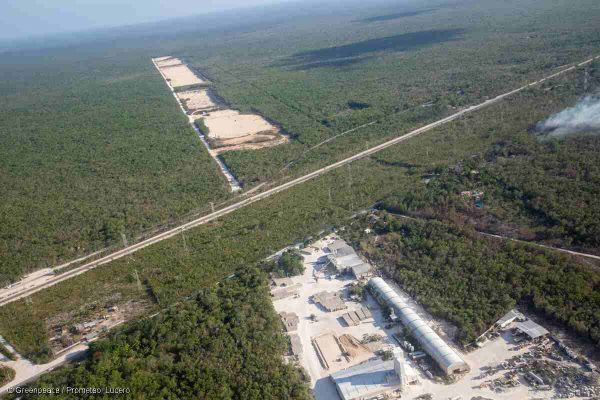 Afectaciones en la Selva Maya