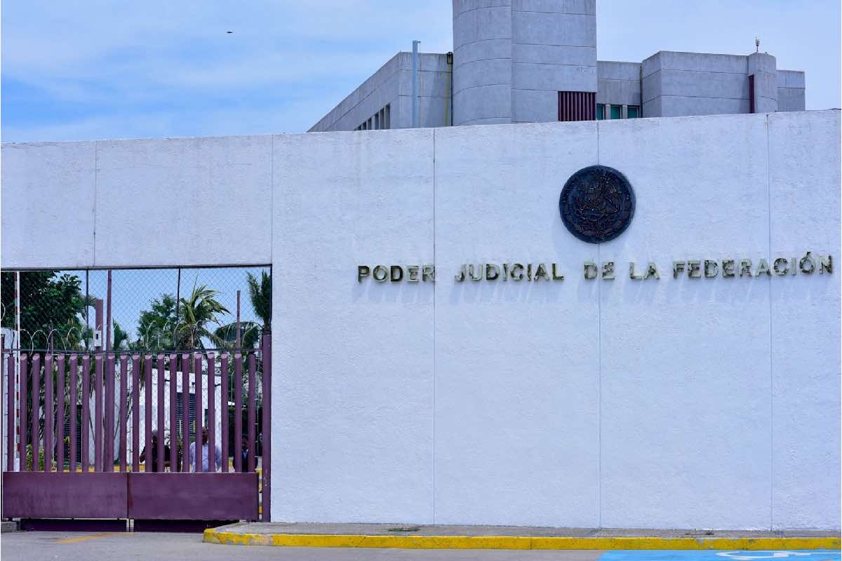 ¿Qué son los “amparos buscadores” y cómo se usaron en el caso de los hijos de AMLO?