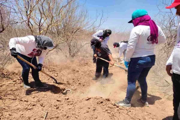 “Bitácoras Coordinadas”, repositorio de memoria y apoyo para colectivos de búsqueda de desaparecidos