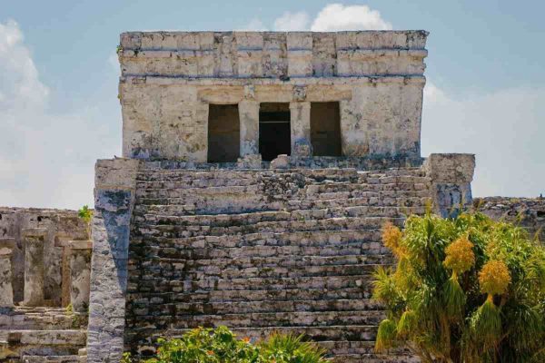 Con este requisito, entrada a Parque del Jaguar es gratuita para habitantes de Tulum en Quintana Roo